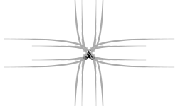 Perdoution