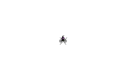 I N F I L T R A T E #2