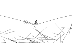 lines