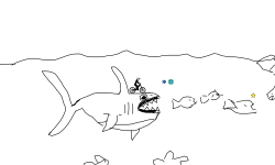 the ocean school