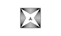 ninja star