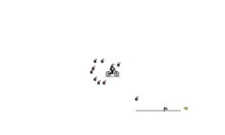 bomb dodge