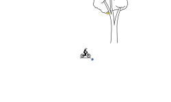 is that  good tree?