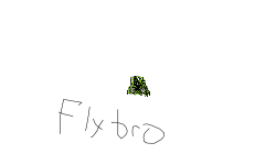 fly bro