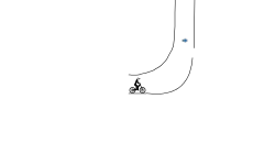 the race