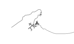 Cave Jumps