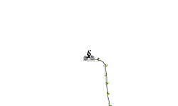 Need For Stars