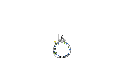 lil planet