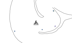 Brush cave type track