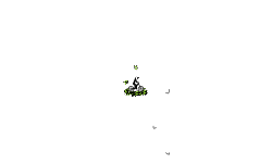 Random Track