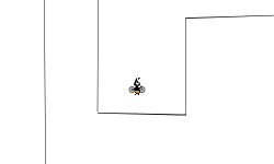 Heli