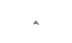 Little Auto
