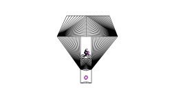 The illusions-_-