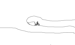 race