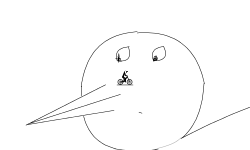 Birds!!!