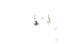 6.07 brush