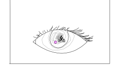 Always Watching