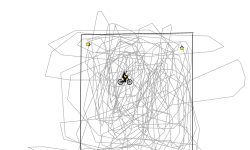 square