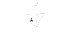 auto flip