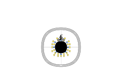 Crosshairs