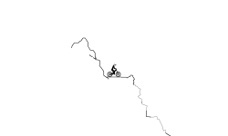 snowy avalanche auto hold up