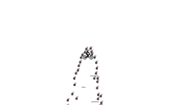 Bomb Escape