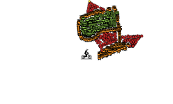 My Logo