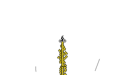24k stars