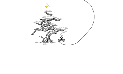 日本マツ