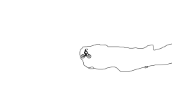cave trails