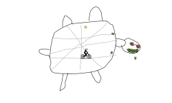 tedds shell (desc)