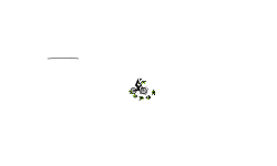 Long auto