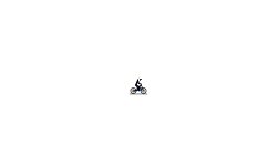 gravity auto longish