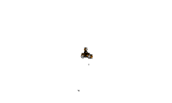 helicopter auto
