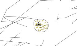 I see stars