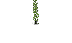 To the moon