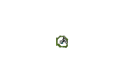 Speedy Auto Run