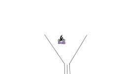 pin ball