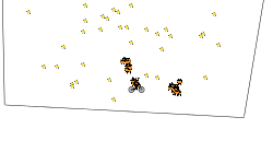 Star box