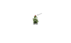 (1) kinda glitch