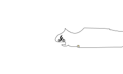 denotrack № 64
