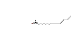 short mtb