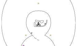 Trial Contest Winner