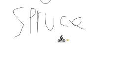 spruce