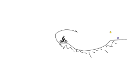 Jumps 101
