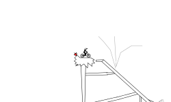 jungle track
