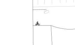 BMX ribe