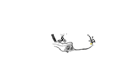 detail test