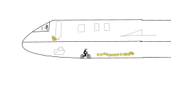 The plane