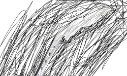 Sketch Trial